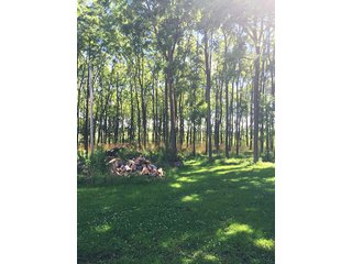 3.318+/- Acres between Columbia City and Fort Wayne on Lincolnway.  Mobile home, well, septic, and 2 acres of planted walnut trees.  Nice pole building with lean-to.  Easy to heat, storage or work shop, multi-use.  Great potential building site. - Residential/Industrial